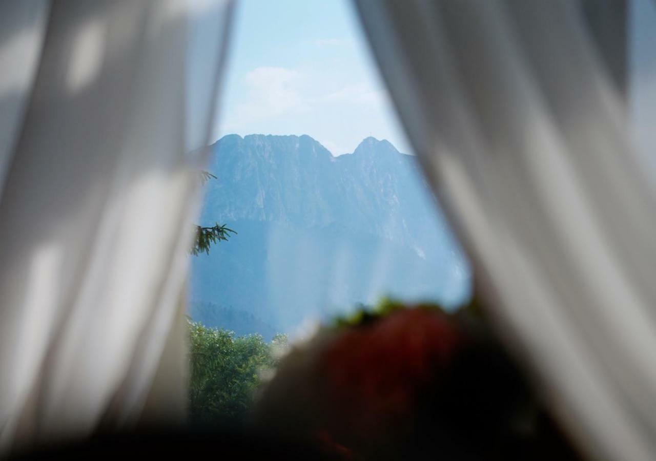 Olczanski Dom Zakopane Kültér fotó